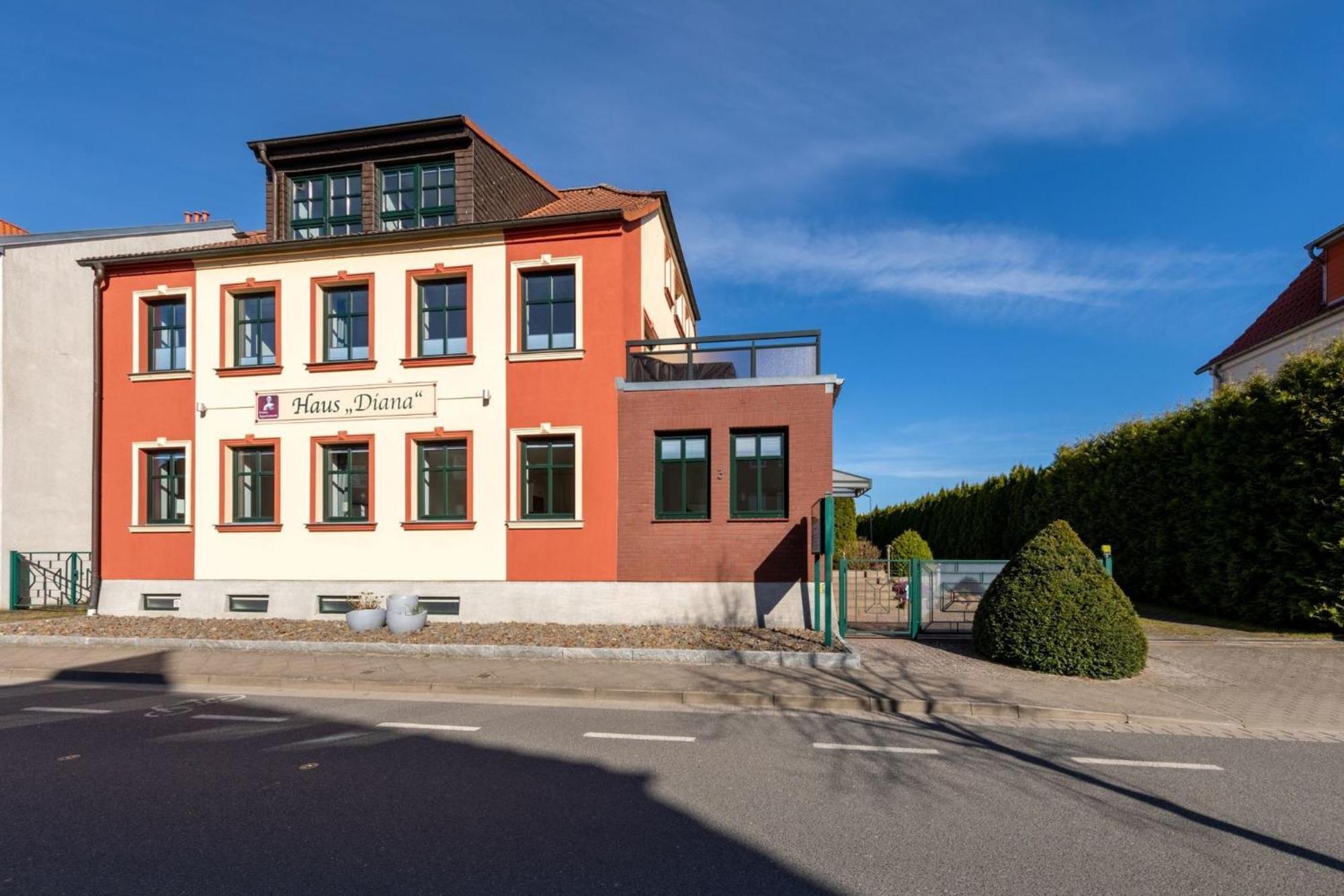 Haus Diana - Blaumeise
